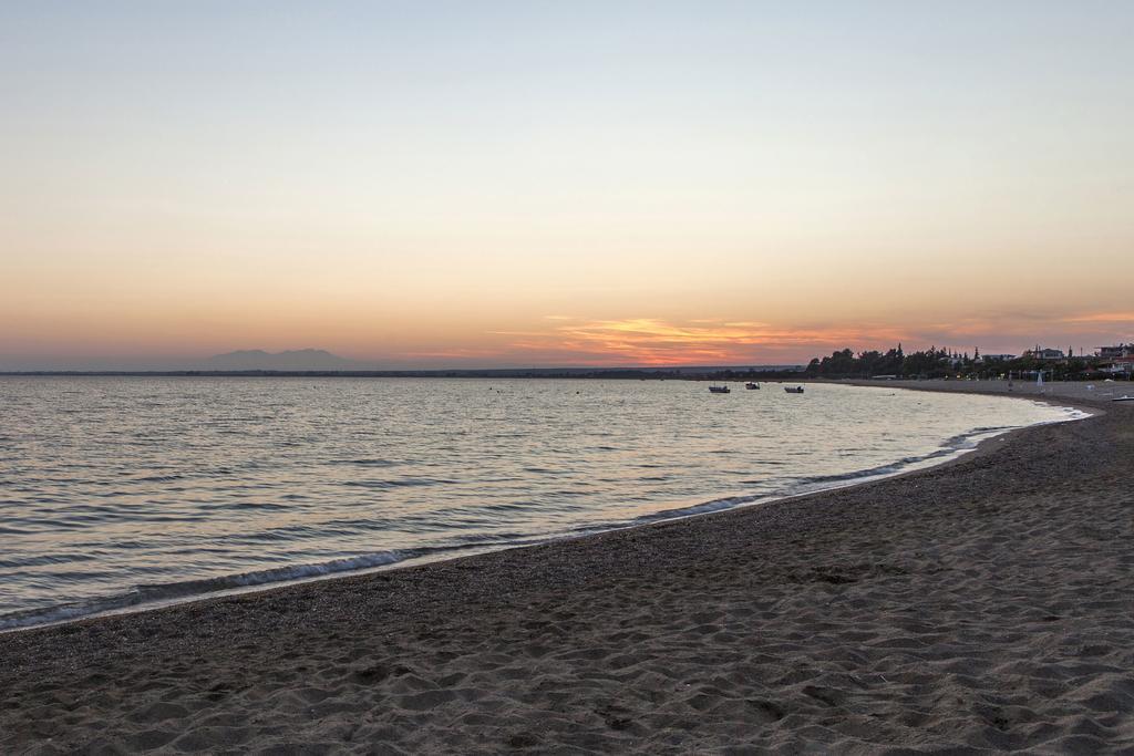 Coral Blue Beach Hotel Gerakini Bagian luar foto